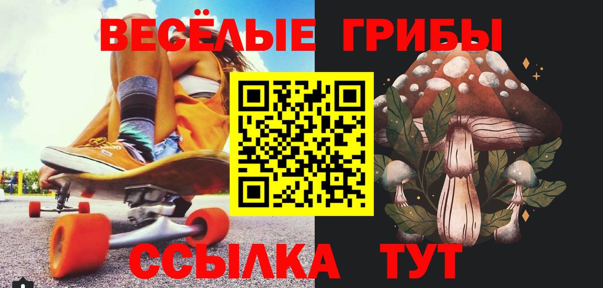 Галлюциногенные грибы Psilocybe  Вход с VPN  Куйбышев 