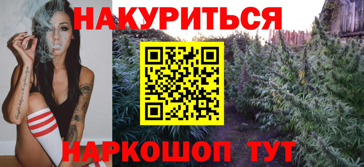 Канабис конопля Куйбышев